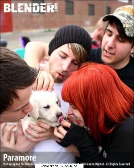 Poze - imi place poza asta - Paramore